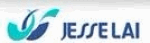 кузовные запчасти Jesselai